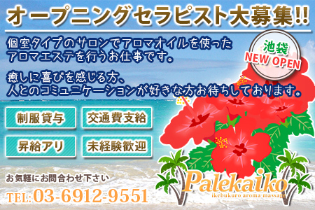 池袋Palekaik(パレカイコ)求人画像