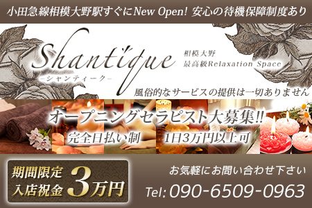 Shantique – シャンティーク求人画像
