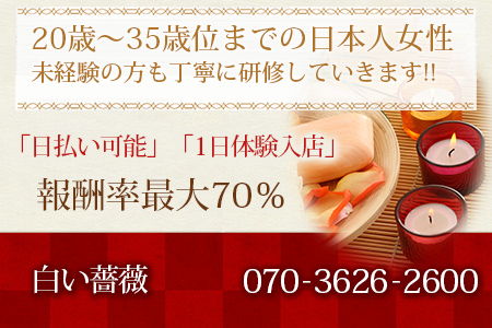 白い薔薇求人画像