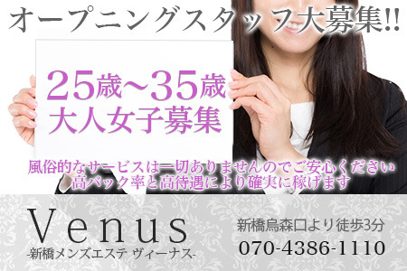 新橋メンズエステ Venus(ヴィーナス)求人画像