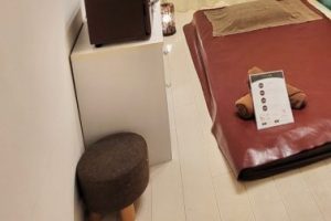 武蔵小杉 ロイスの求人