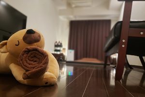新宿 Aroma Phamu アロマパムの求人