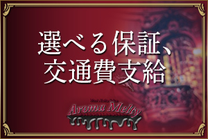 選べる保証、交通費支給