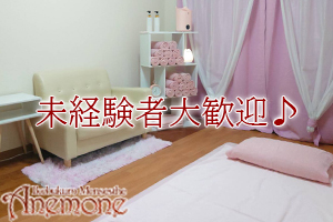 初心者、未経験者大歓迎♪研修中ももちろんお給料が発生します。