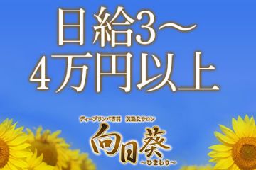 日給3～4万円以上可能です