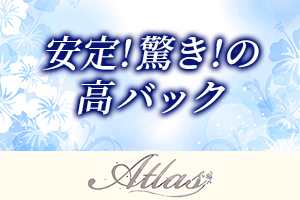 安定！驚き！の高バック