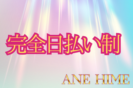 完全日払い制になっています