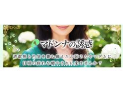 オフィシャル画像